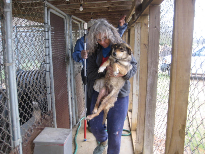 Hope Animal Sanctuary Winona, MS Pound Rescue
